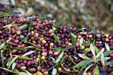 Load image into Gallery viewer, Organic Green Olive Tapenade – 190 mL